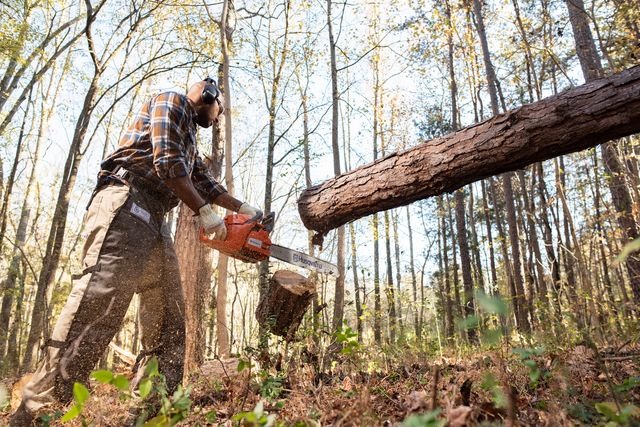Husqvarna 460 Rancher 20 in. 60.3cc 2-Cycle Gas Powered Chainsaw - view 6