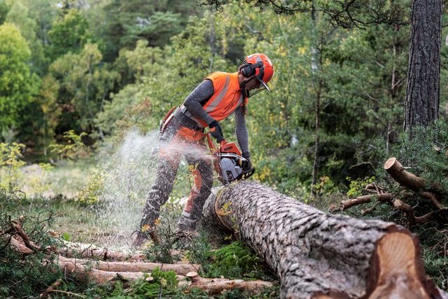 Husqvarna 550 XP® Mark II 20 in. 50.1cc Professional Gas Chainsaw - view 4