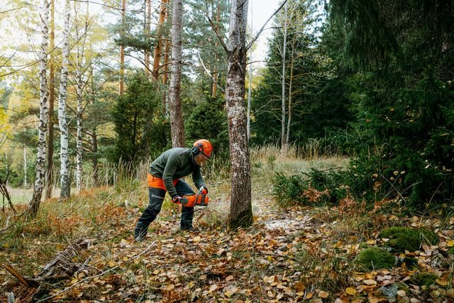 Husqvarna 450 Rancher® 20 in. 50.2cc All-Around Gas Powered Chainsaw - view 2